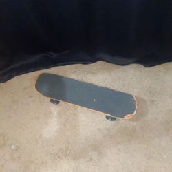 Long Board 