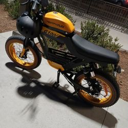 Electric Bike