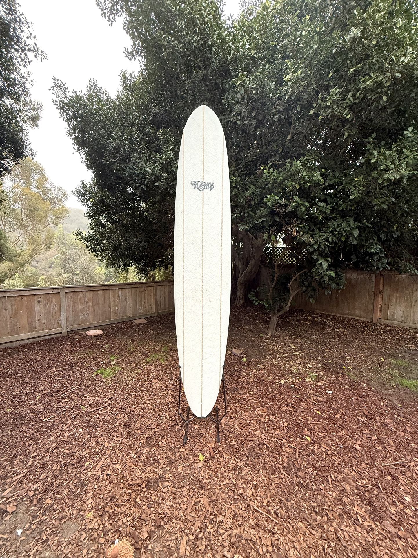 10’ Longboard Surfboard