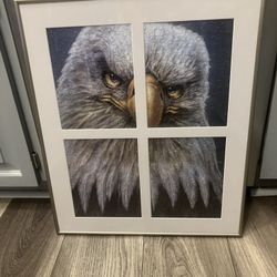Bald Eagle Puzzle