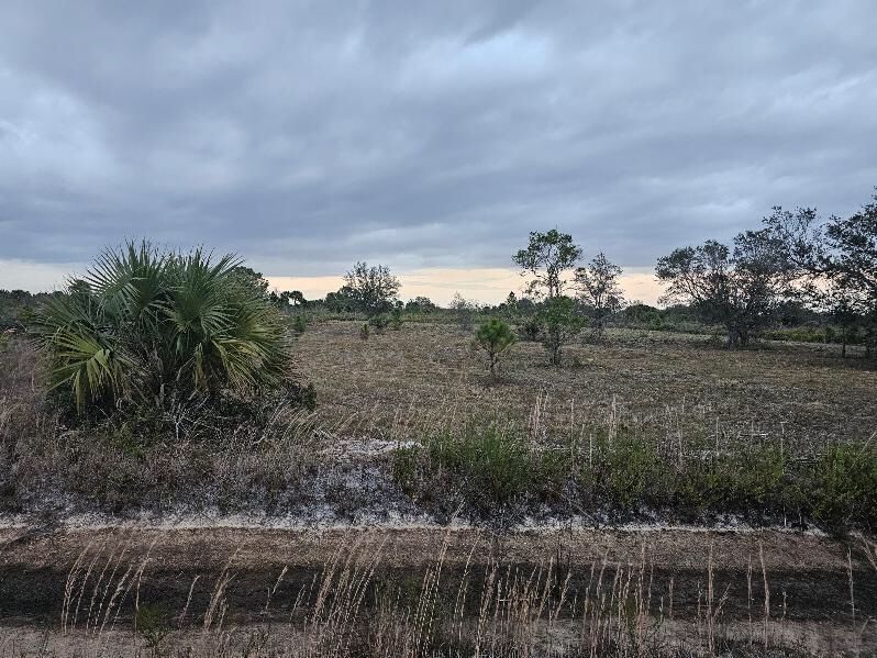 1.25 Acre Lot