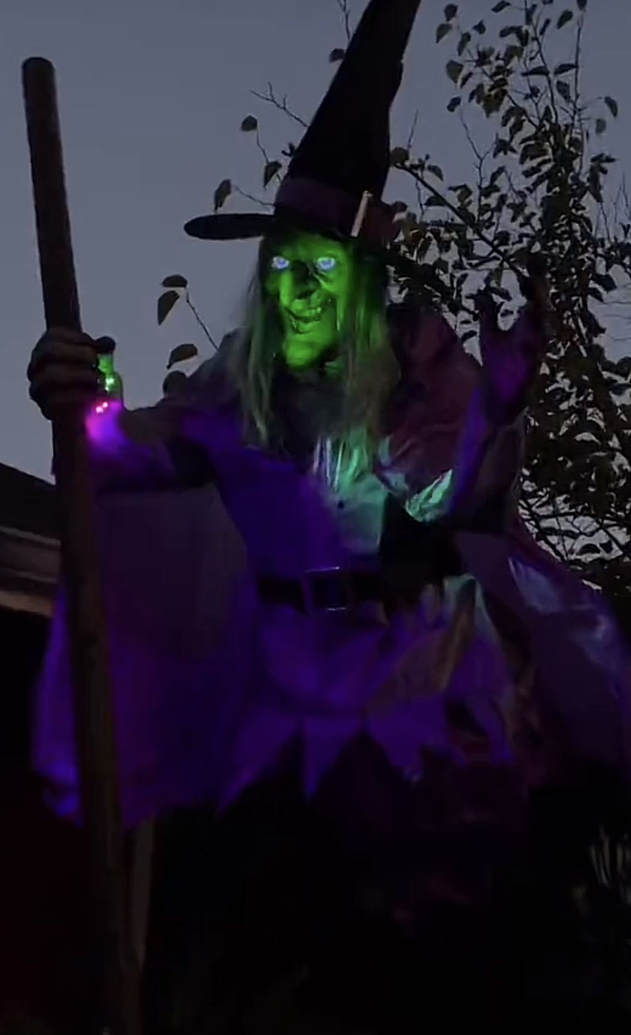 12 ft Hovering Witch for Sale in Anaheim, CA OfferUp