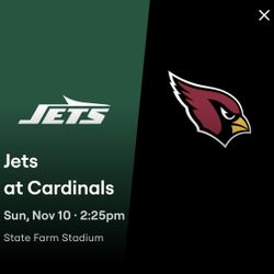 6 Tickets Section 117 Row 11 Lower Level With Orange Parking Pass To Jets And Cardinals.  Asking $275 Each.