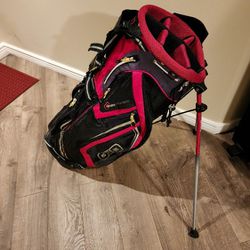 Ogio Super Light Golf Stand Bag...Great Shape