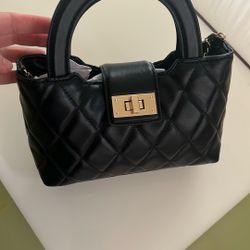 Aldo Black Bag