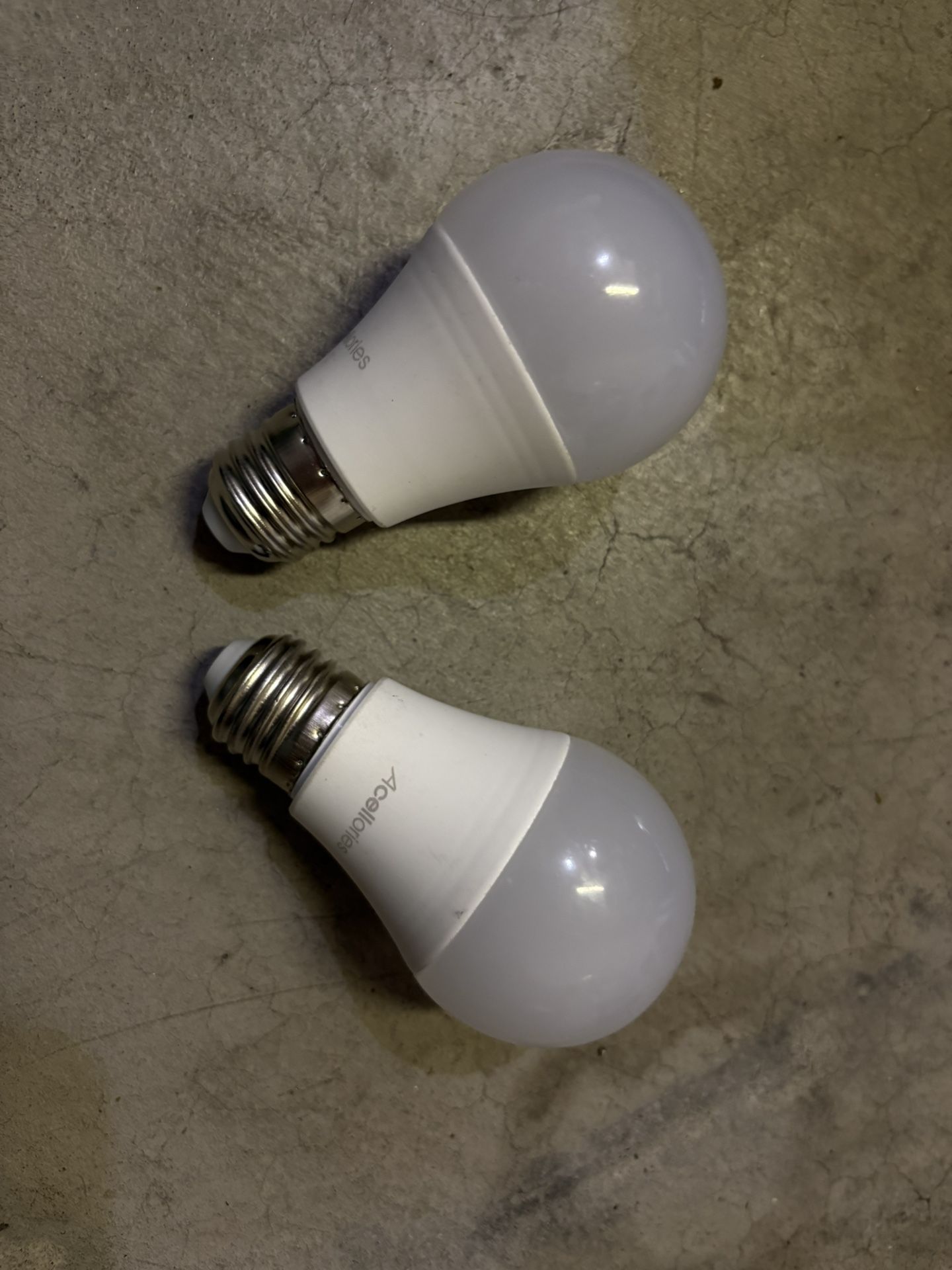 Light Bulbs