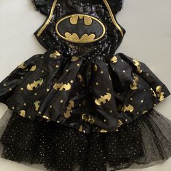 Batgirl Halloween Costume 