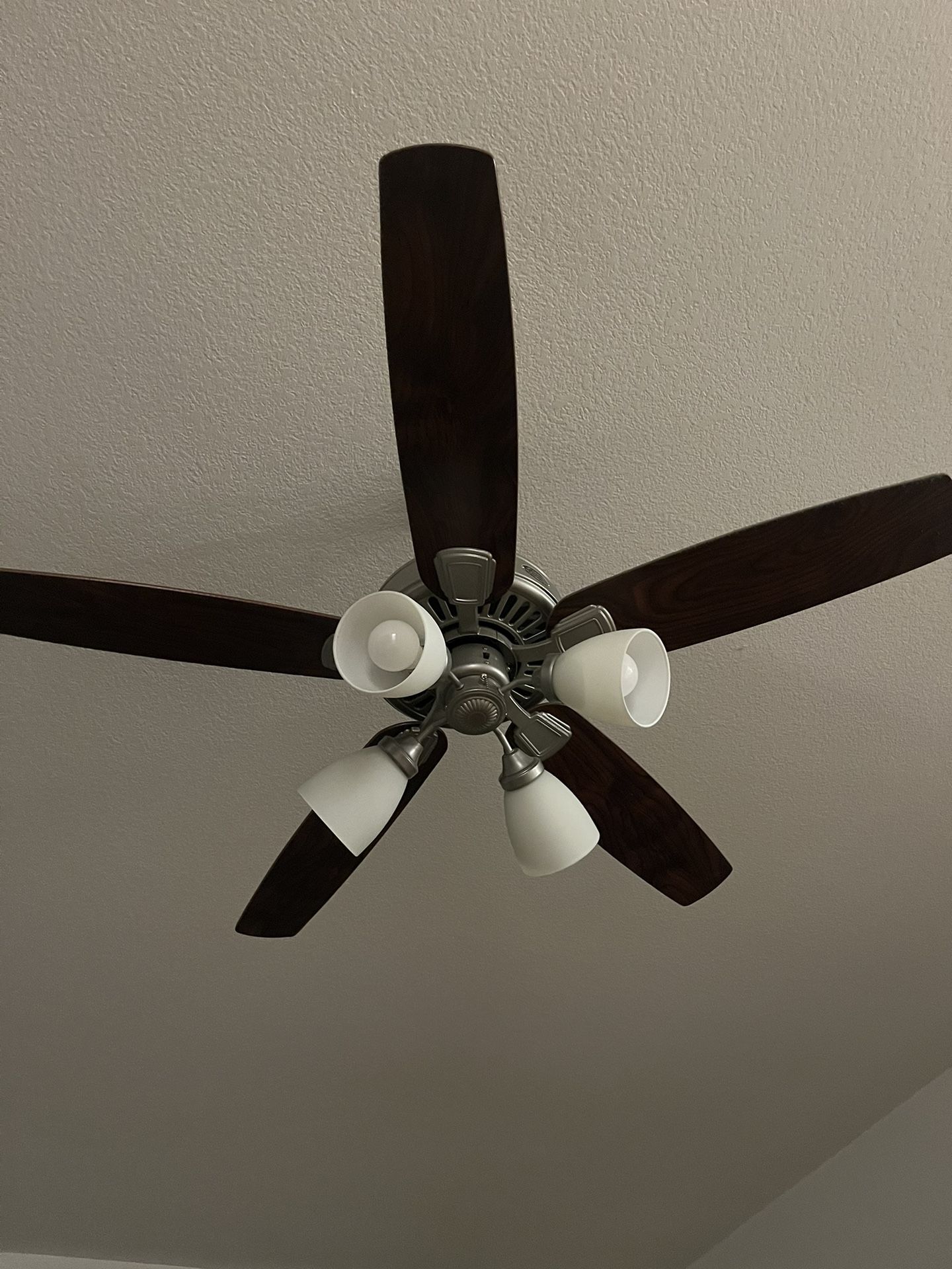Old Jacksonville Ceiling Fan