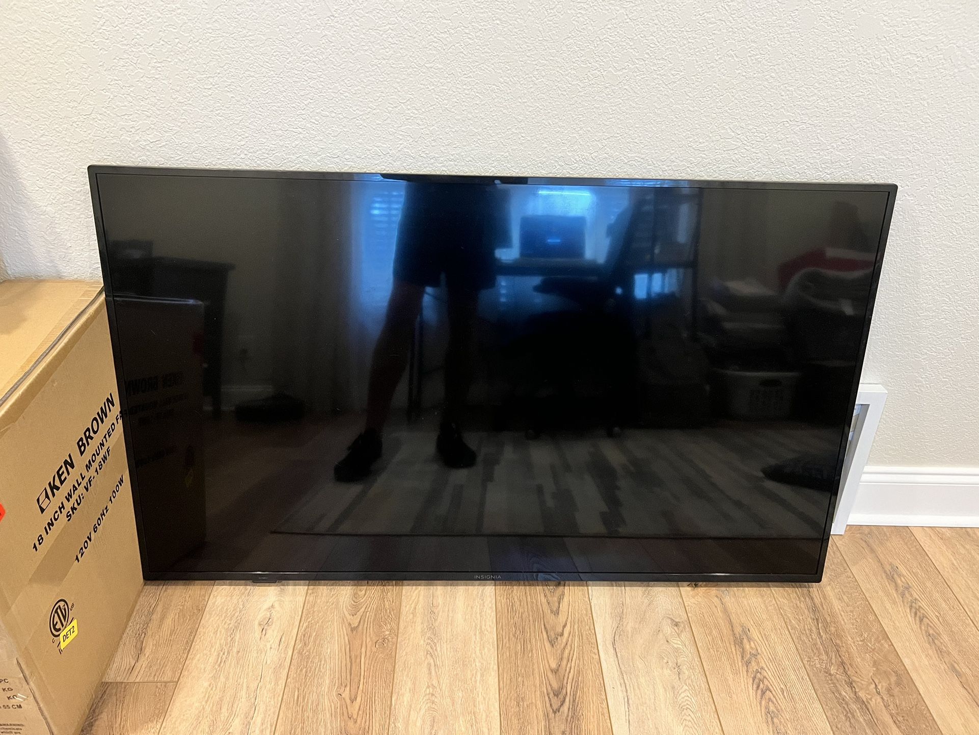 58 Inch Insignia Amazon Fire Tv for Sale in Palm Harbor, FL OfferUp