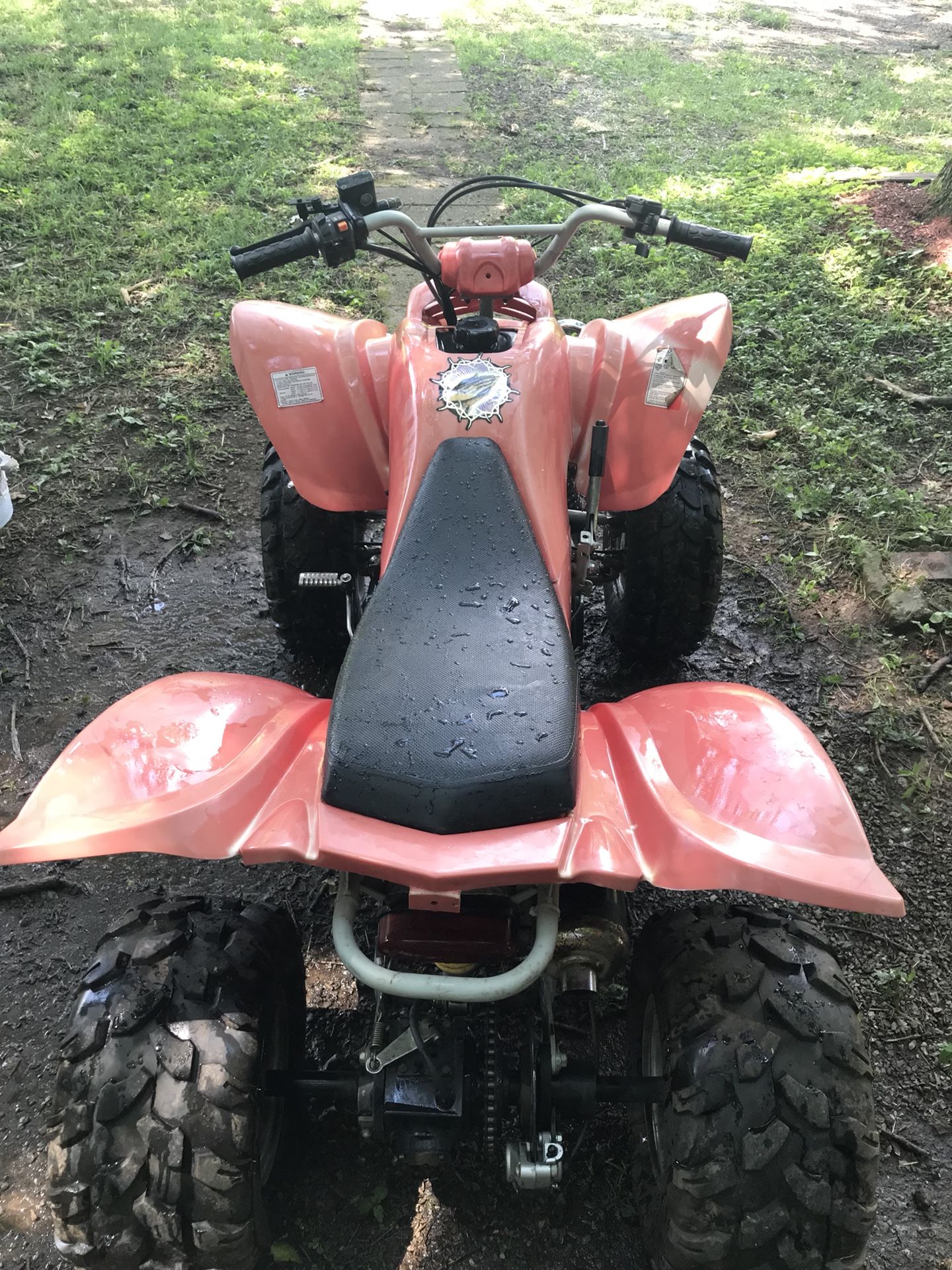 Baja 150cc atv