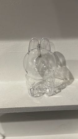 New Labubu Case