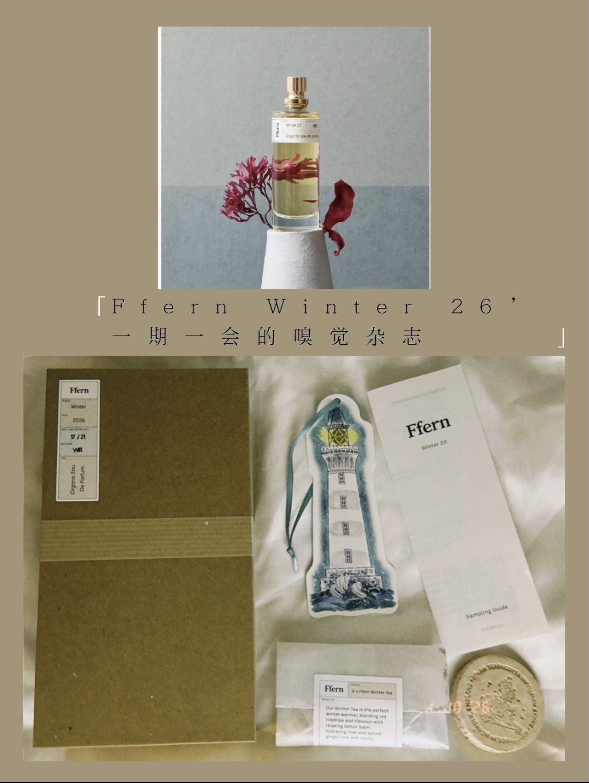 Ffern Winter 26’