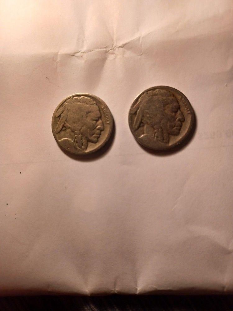 Two Buffalo Nickels For Sale