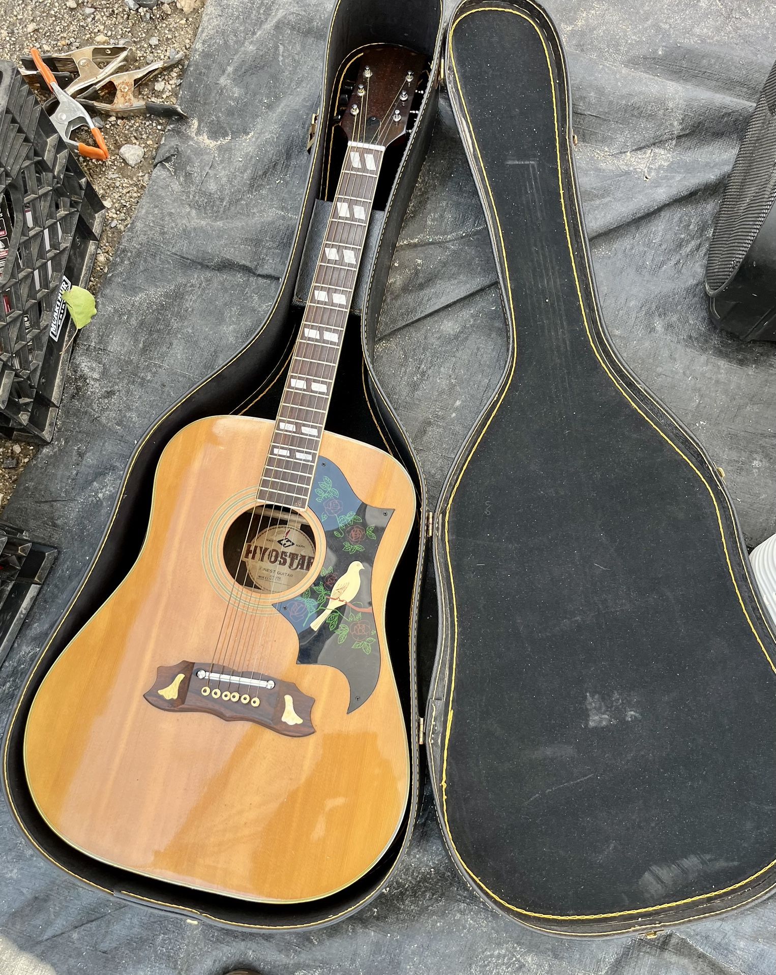 Acoustic Guitar