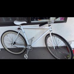 Fixie Bike