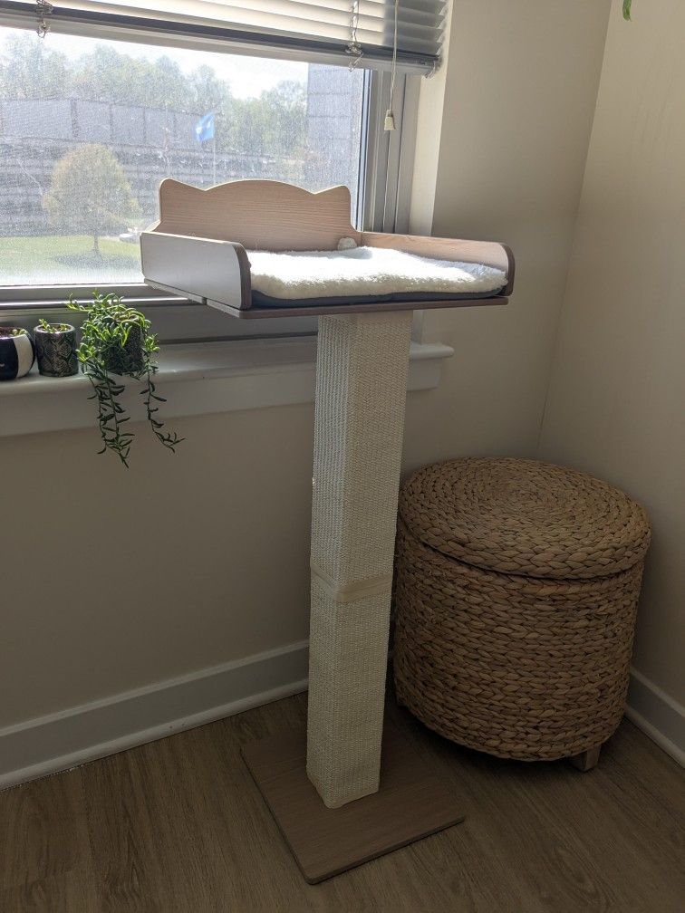 Window Cat Bed With Sisal Scratcher