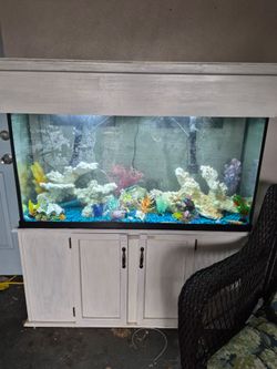 Aquarium