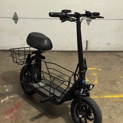 Electric Scooter 