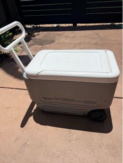 Igloo cooler