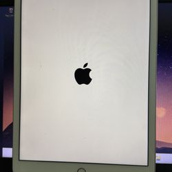 Apple iPad 128 GB