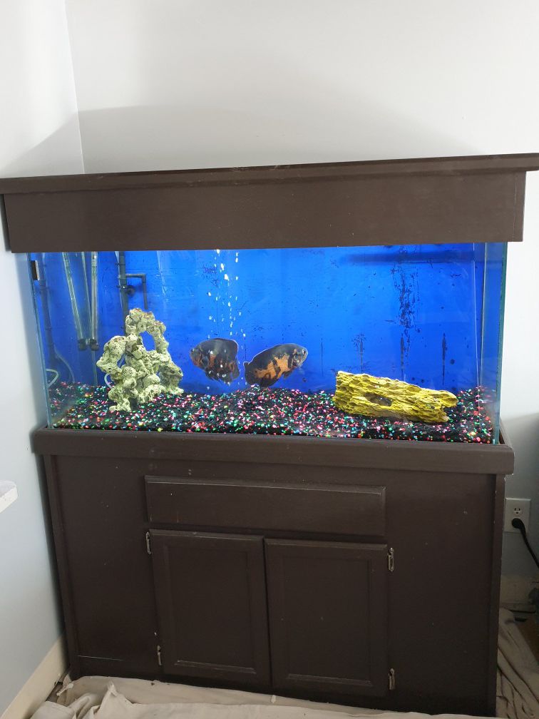 75 Gallon Fish Tank & Stand