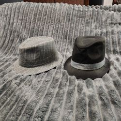 2 Men's Fedora Hats