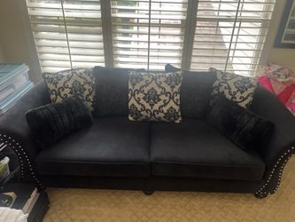 Black Velvet Couch