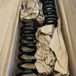 Aldan America coilover springs