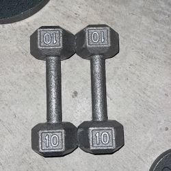 Pair of 10 Pound Dumbbells