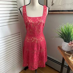 The Limited pink lace cocktail dress , size 6. Brand new with tags