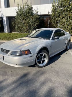 2000 Ford Mustang