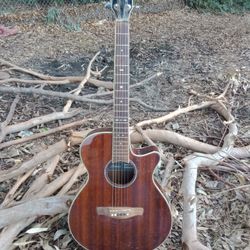 Ibanez Acoustic/Electric Guitar