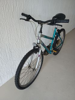 Roadmaster Mountain Bike 24"