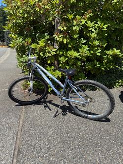 Diamondback Mountain Bike