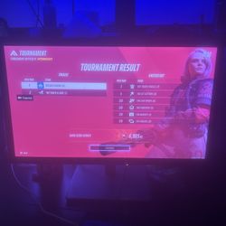 Gaming Monitor. 