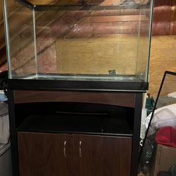 65 Gallon Fish Tank and Stand
