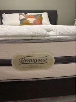 Free- Queen mattress