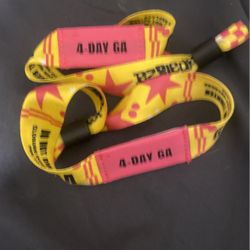 Two 4Day GA Lollapalooza Tickets