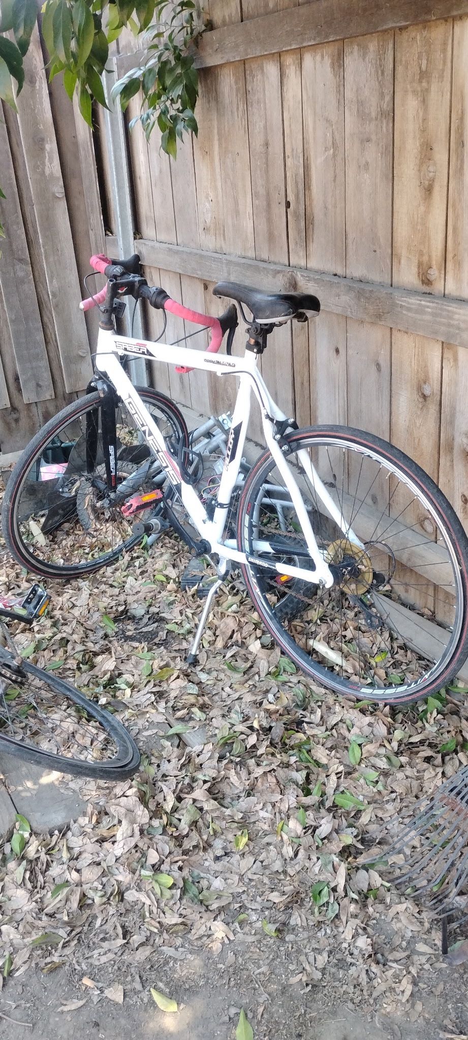 21 Speed Bike Genesis Saber