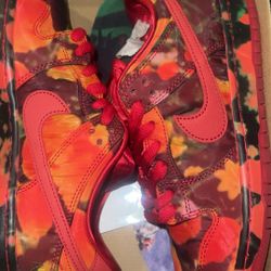 OPEN TO ANY OFFERS !!! SIZE 7 NIKE SB “Wizard Of Oz” *Deadstock*
