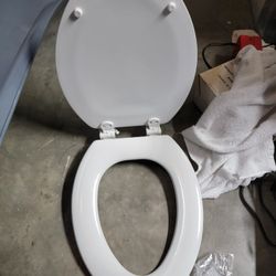 Toilet Seat