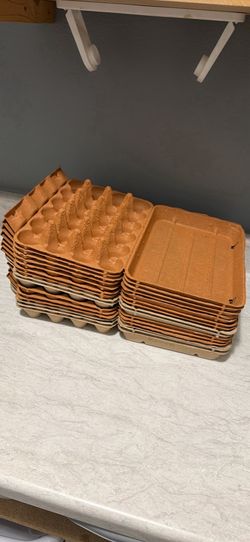 Egg cartons