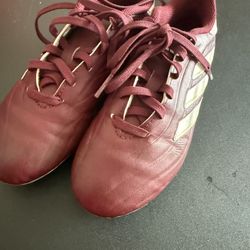 Adidas Copa  Burgundy Cleats with White Accents