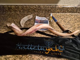Kudu shofar (fully polished) 32"-35"
