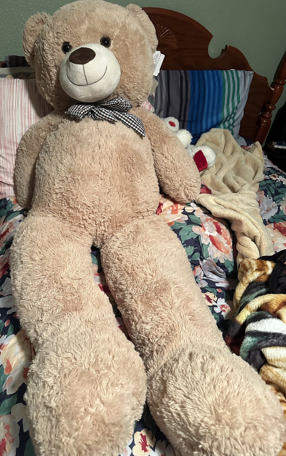 Big Teddy Bear