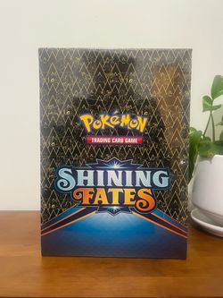 Pokemon Display Case- Mad Party Pin Collection