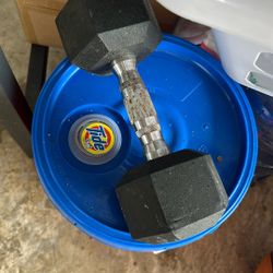 Dumbbell Weight 20 Pounds For Lifting Weights 