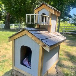 Dog Cat Condo 