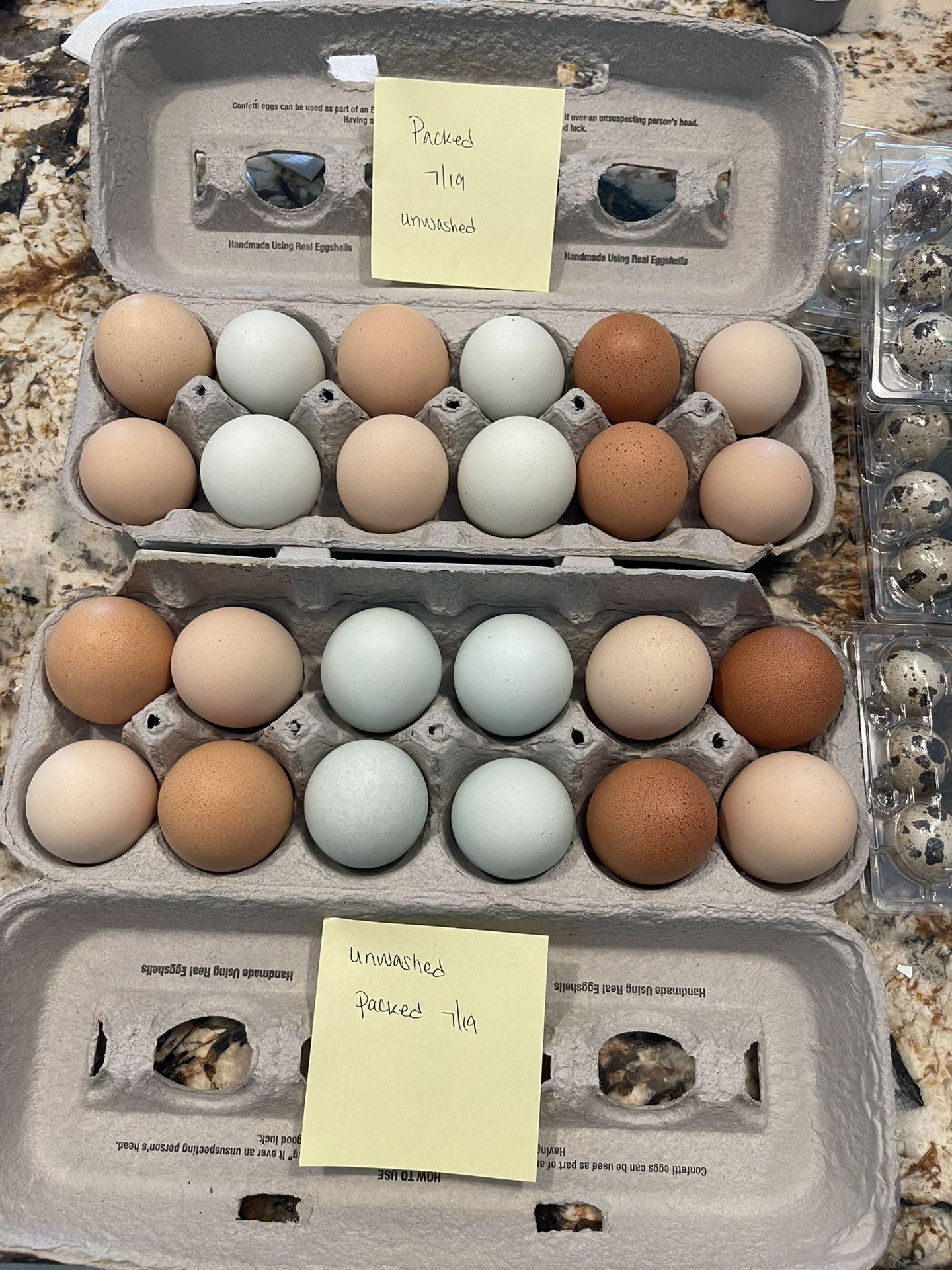 Freshly Packed $7 Chicken Dozen & 2nd Pic 15 For $4 Quail -Last Picture $5 For 15 Eggs