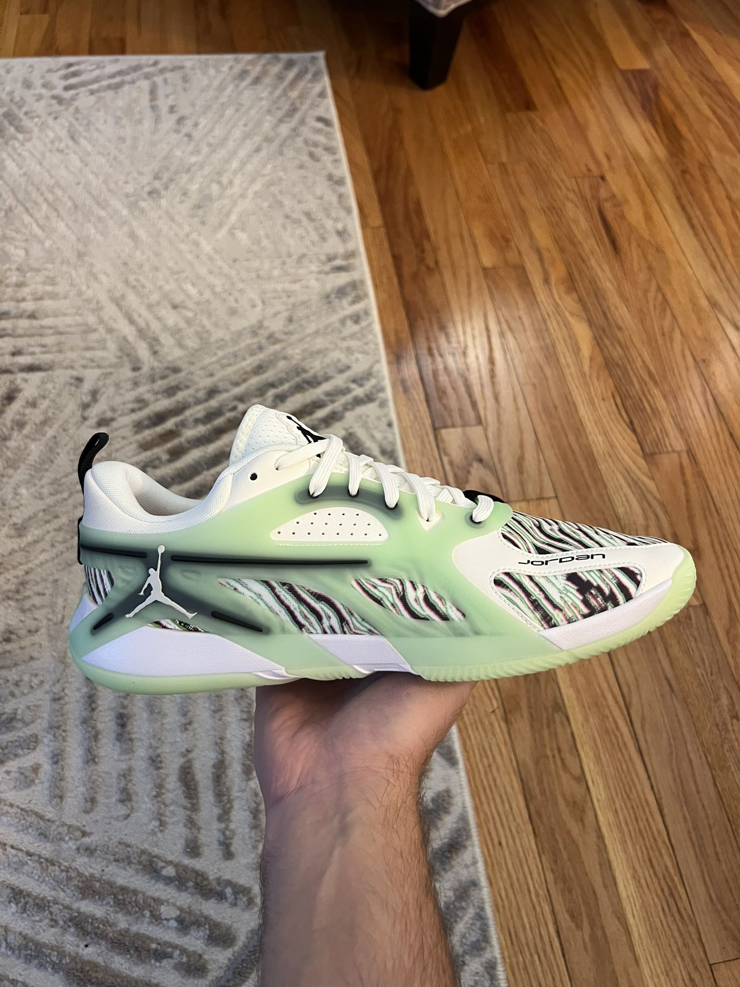 AIR JORDAN HEIR shoes